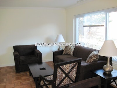 Brookline Apartment for rent 1 Bedroom 1.5 Baths  Chestnut Hill - $3,235 No Fee