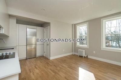 Brighton Renovated 1 Bed 1 Bath available NOW on Chestnut Hill Ave in Brighton! Boston - $2,650