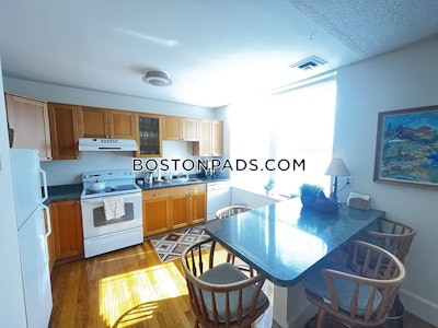 Back Bay 1 Bed 1 Bath BOSTON Boston - $4,000