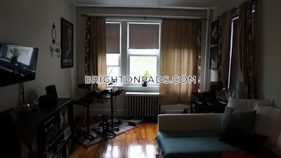 Brighton Apartment for rent 1 Bedroom 1 Bath Boston - $2,525 50% Fee