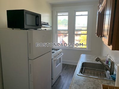Brighton Apartment for rent 1 Bedroom 1 Bath Boston - $2,350