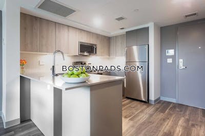 Roxbury 1 bedroom  Luxury in BOSTON Boston - $8,700 No Fee
