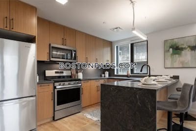 Allston Apartment for rent 1 Bedroom 1 Bath Boston - $4,800