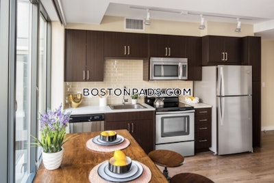 Downtown Studio  Luxury in BOSTON Boston - $3,435