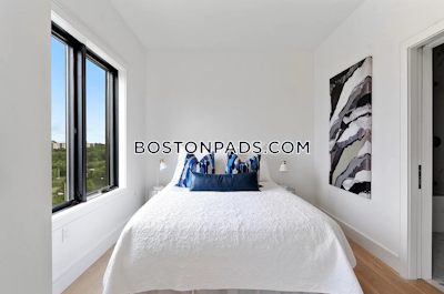 Brighton Apartment for rent 2 Bedrooms 2 Baths Boston - $3,895 No Fee