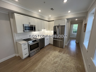 Brighton 2 Beds 1 Bath Boston - $3,450 No Fee