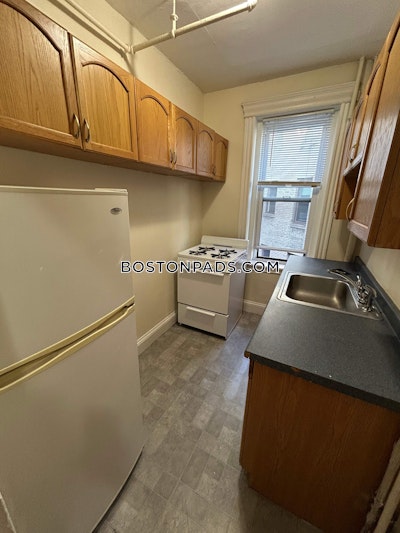 Allston Apartment for rent 1 Bedroom 1 Bath Boston - $1,900