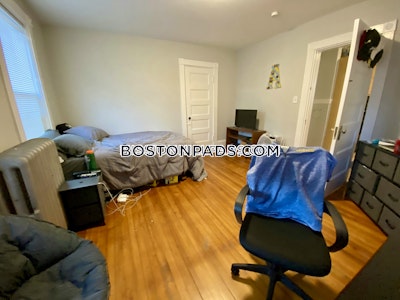 Mission Hill Apartment for rent 11 Bedrooms 3 Baths Boston - $18,300